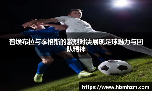 金沙8087