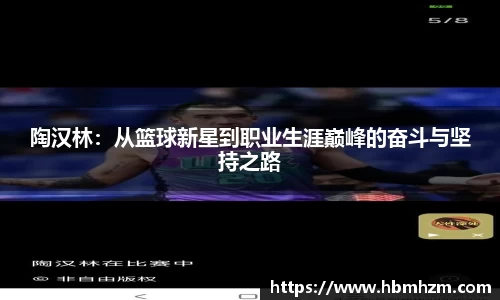 陶汉林：从篮球新星到职业生涯巅峰的奋斗与坚持之路